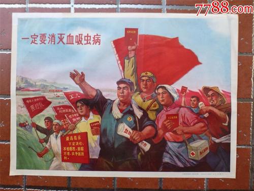 UniversityofLimerick硕士证书
